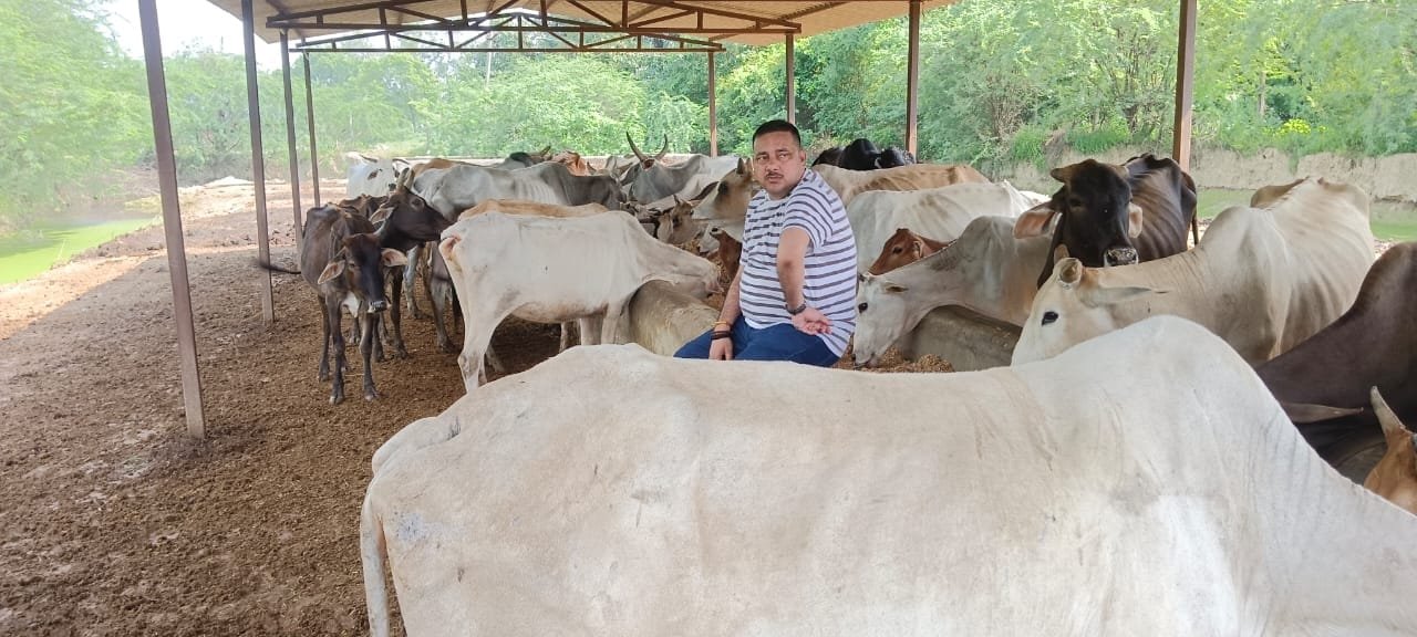 Gau Mata Care