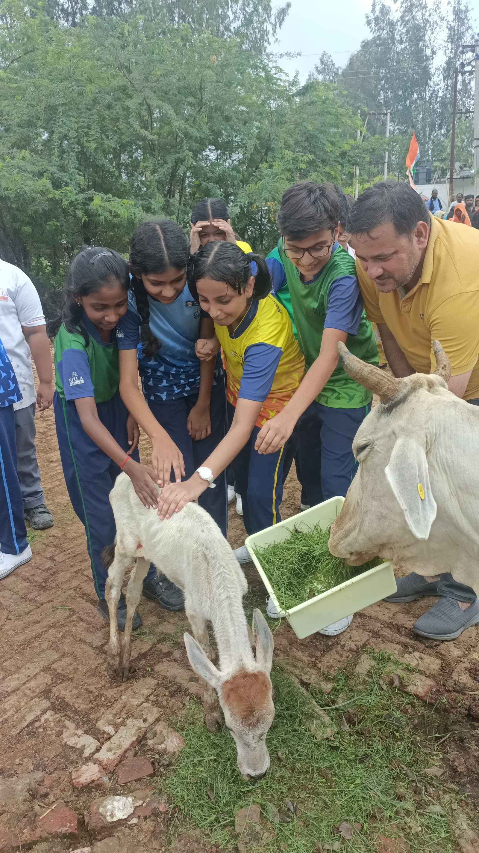 Gau Mata Seva